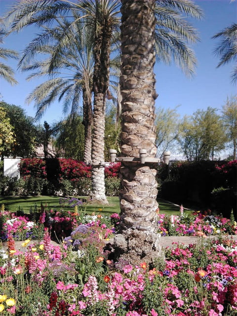 Outdoor lighting installation by Sloan Electric, LLC